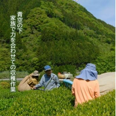 ふるさと納税 津野町 四万十紅茶＜リーフティー＞50g×3袋 |  | 02