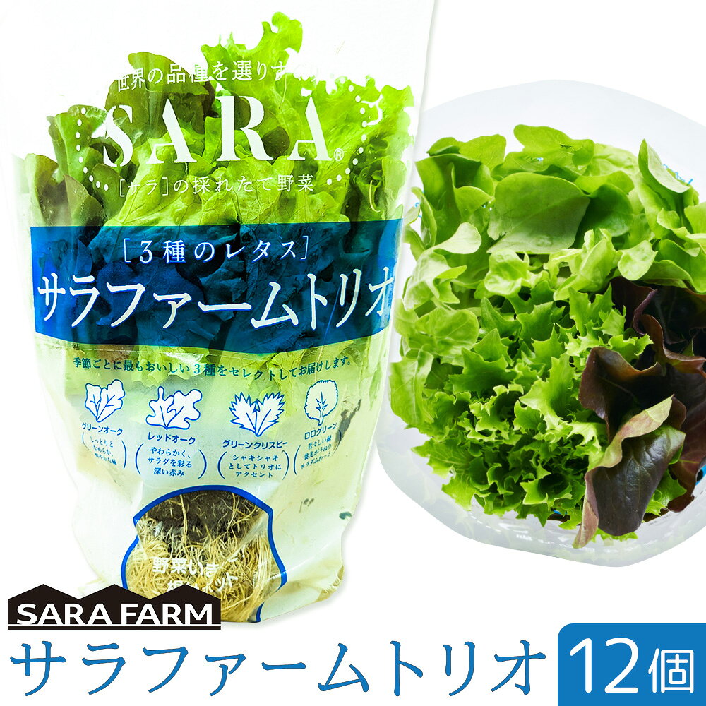 【ふるさと納税】サラファームトリオ 12個セット 野菜 レタス 3種のレタス グリーンオーク レッドオーク グリーンクリスピー 《30日以内に出荷予定(土日祝を除く)》 JA晴れの国岡山 笠岡アグリセンター 野菜 岡山県 笠岡市