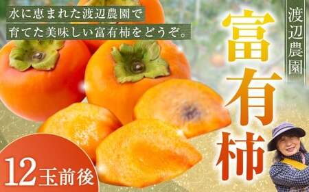 【先行予約】渡辺農園 富有柿 12玉前後 2026年11月下旬から12月上旬 出荷予定