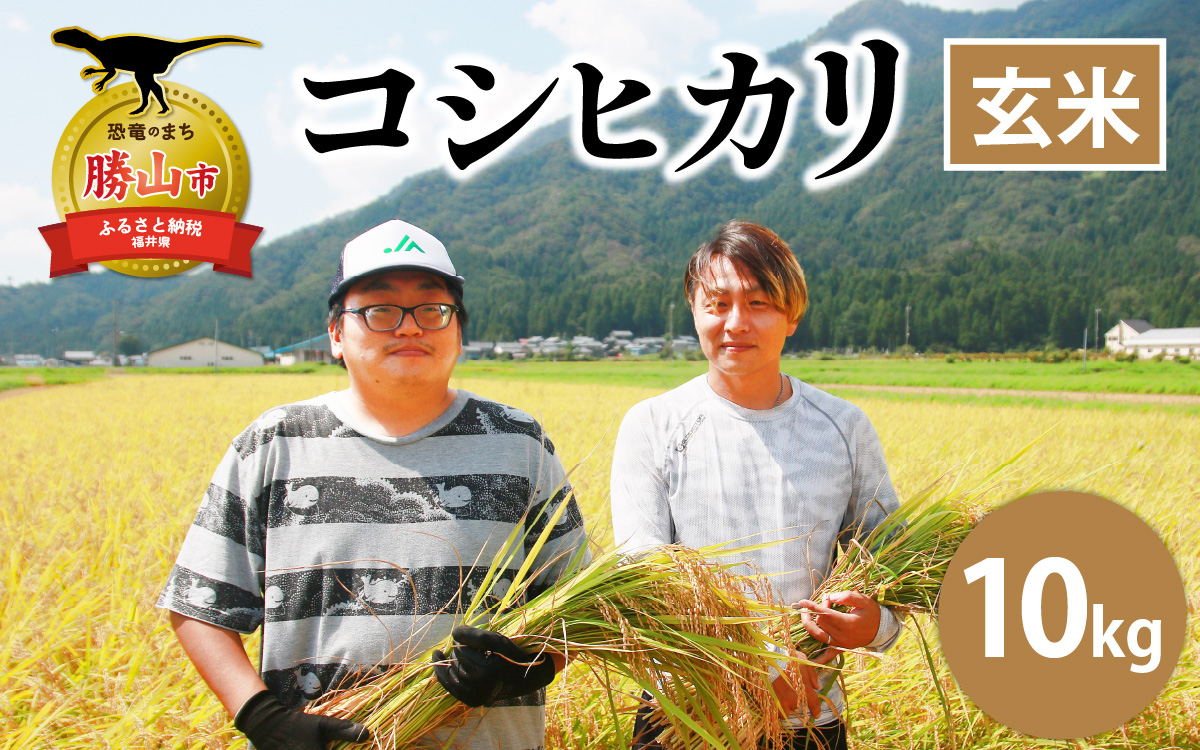 【先行予約】【令和8年産 新米】勝山産 コシヒカリ 玄米 10kg（5kg×2袋）※2026年9月中旬頃より順次発送予定 [B-079005]