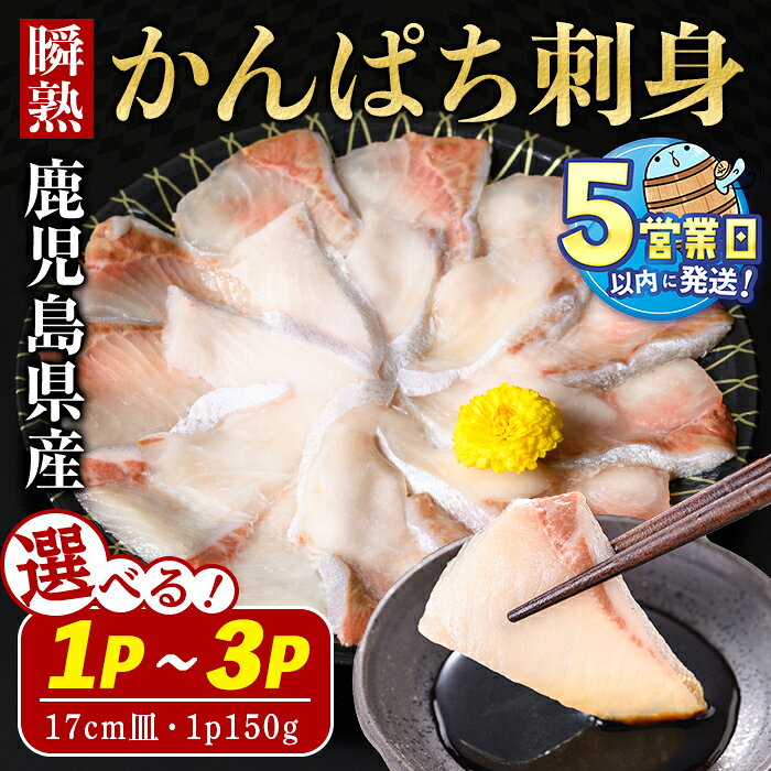 【ふるさと納税】＜すぐ届く！＞【内容量が選べる】鹿児島県産 瞬熟かんぱち刺身 17cm皿 計150g(1P)～計450g(150g×3P) 冷凍 魚 魚介 海鮮 カンパチ スライス 刺身 養殖 国産 鹿児島 垂水【有限会社 森水産】