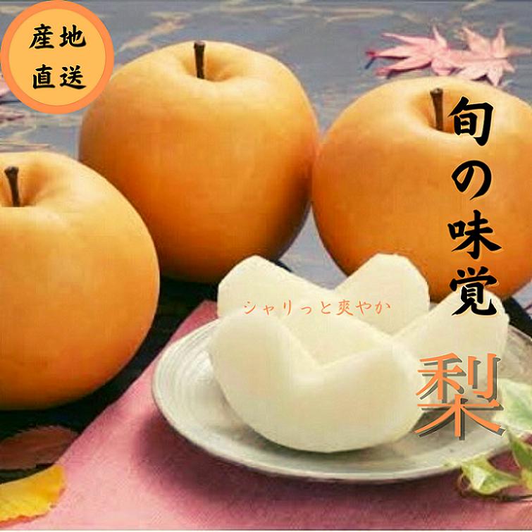 【ふるさと納税】秋の味覚　和梨（幸水・豊水・新高・南水） 6玉入り 化粧箱 フルーツ 果物 産地直送 デザート【BARU バイオジャパン吉村株式会社】[B5-9906]