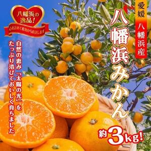 太陽の光・石垣の反射光・海面の反射光を浴びて育った「八幡浜みかん」約3キロ【B39-78】【配送不可地域：離島】【1625774】