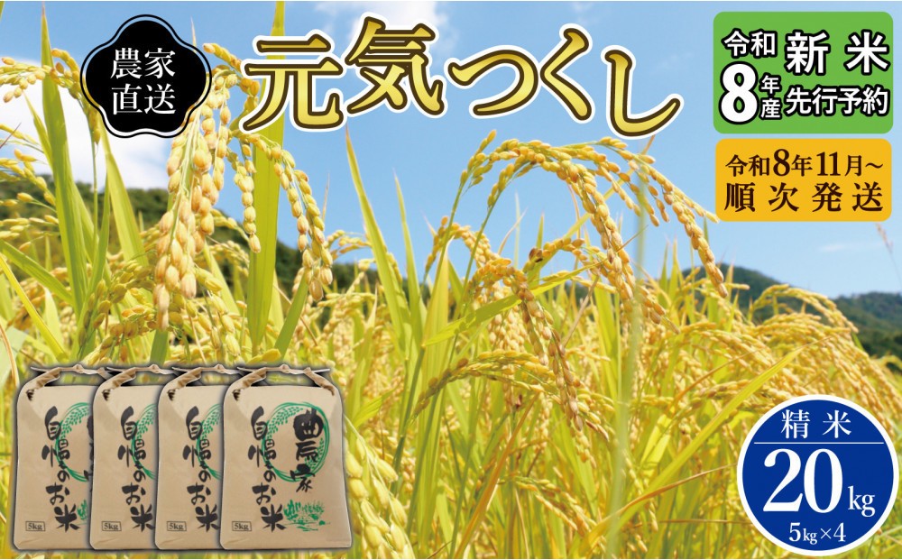 
                  【先行予約】【2026年11月より順次発送】《令和8年産》福岡県大川市産 ブランド 米「 元気つくし 」 5kg×4個 計20kg | お米 米 こめ 精米 白米 ライス ブランド米 ごはん ご飯
                
