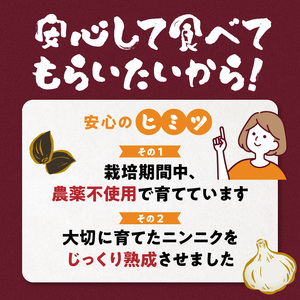 熟成 黒ニンニク（沖永良部産）化粧箱入り 200ｇ 2パック （ 計400g ） C055-003 野菜 にんにく 無農薬 ミネラル おためし 安心 熟成 伊藤末隆 ふるさと納税 知名町 おすすめ ラ