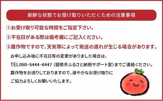 1月～6月毎月発送　まるでトマトの宝石箱！ジュエリートマトの定期便　約700g×6回コース　H004-170