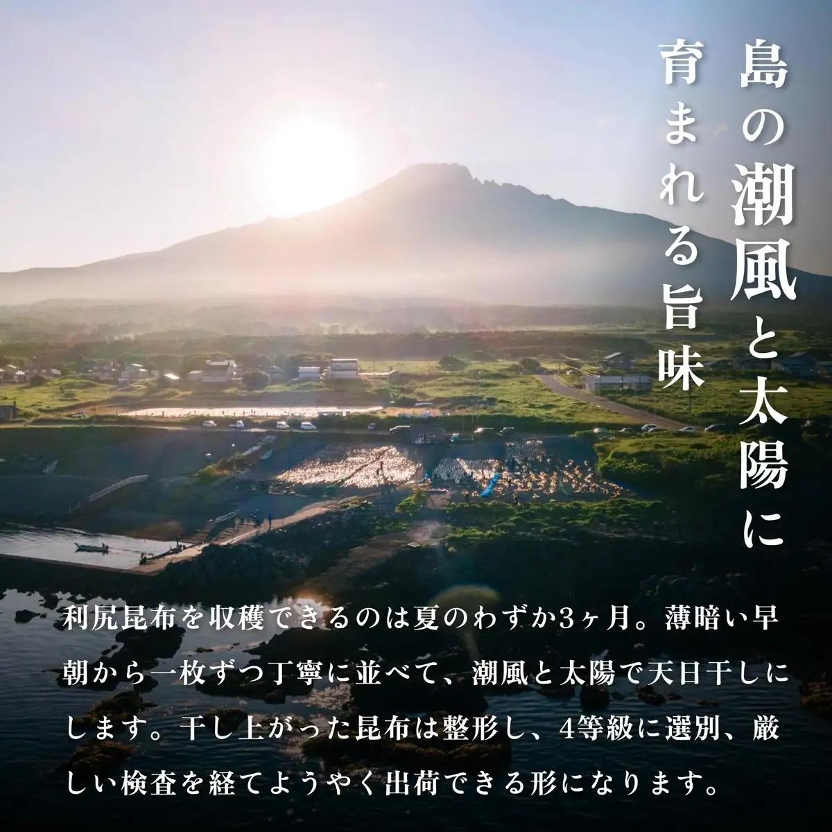 利尻島名産 利尻とろろ昆布 30g×13袋｜北海道産 海藻  お鍋 和食 湯豆腐 海産物 利尻島 [1020002]