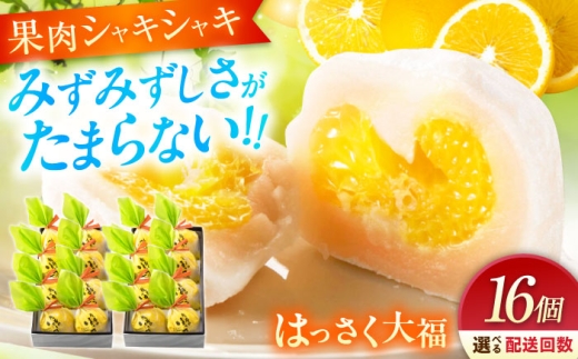 【全3回定期便】お菓子 はっさく大福8個入×2  お菓子 大福 八朔 柑橘 みかん オレンジ 餅 ギフト お取り寄せ スイーツ フルーツ大福 ご当地 菓子 おかし デザート 食品 人気 おすすめ 果汁 広島県産 特産品 産地直送 お取り寄せ 贈り物 ギフト 贈答品 絶品 和菓子 定期便 国産 白あん 個包装 逸品 定期便 福山スイーツ  広島県福山市/株式会社虎屋本舗[BADH026]