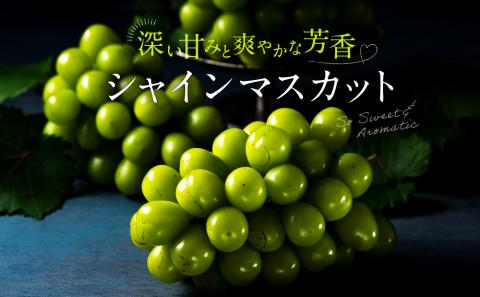 AC126.九州・福岡フルーツ王国より直送.シャインマスカット約1kg／2025年9月配送