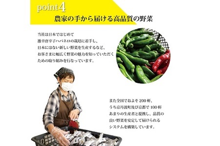 【野菜 3回 定期便】旬の京野菜セット　毎月お届けスペシャルコース（全3回）【 野菜 野菜定期便 野菜詰め合わせ 野菜セット 京野菜 】[045KH001R]