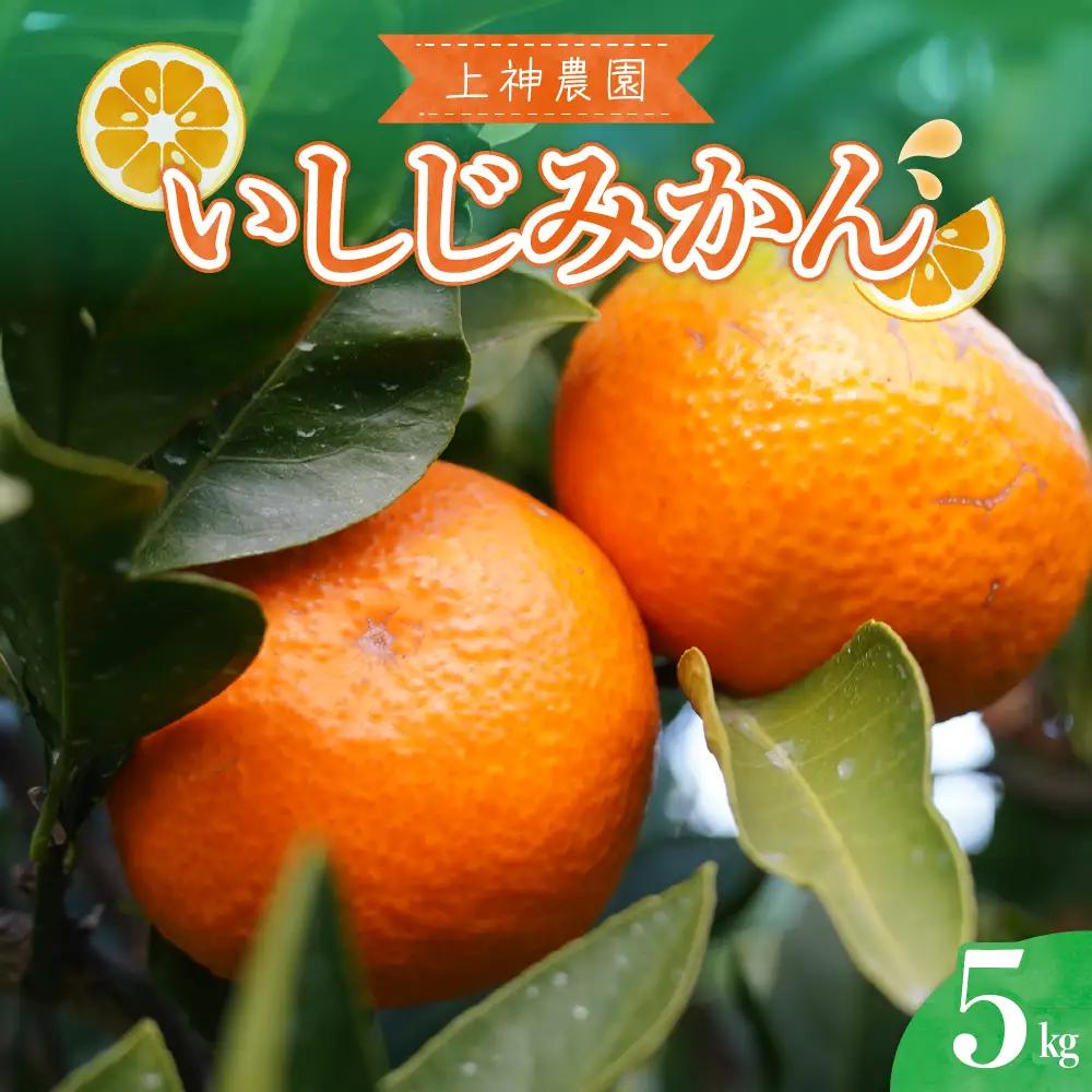 先行受付 2026年12月中旬～発送開始 いしじみかん 約5kg 柑橘