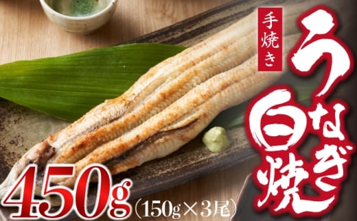 九州産手焼きうなぎ白焼き 3尾（約450g） [M828-1]