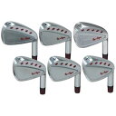 【ふるさと納税】Rex&Regina FORGED IRON ＃5～PW（6I) SET　N.S.PRO 950 GH フレックスR | ゴルフグッズ スポーツ 人気 おすすめ 送料無料