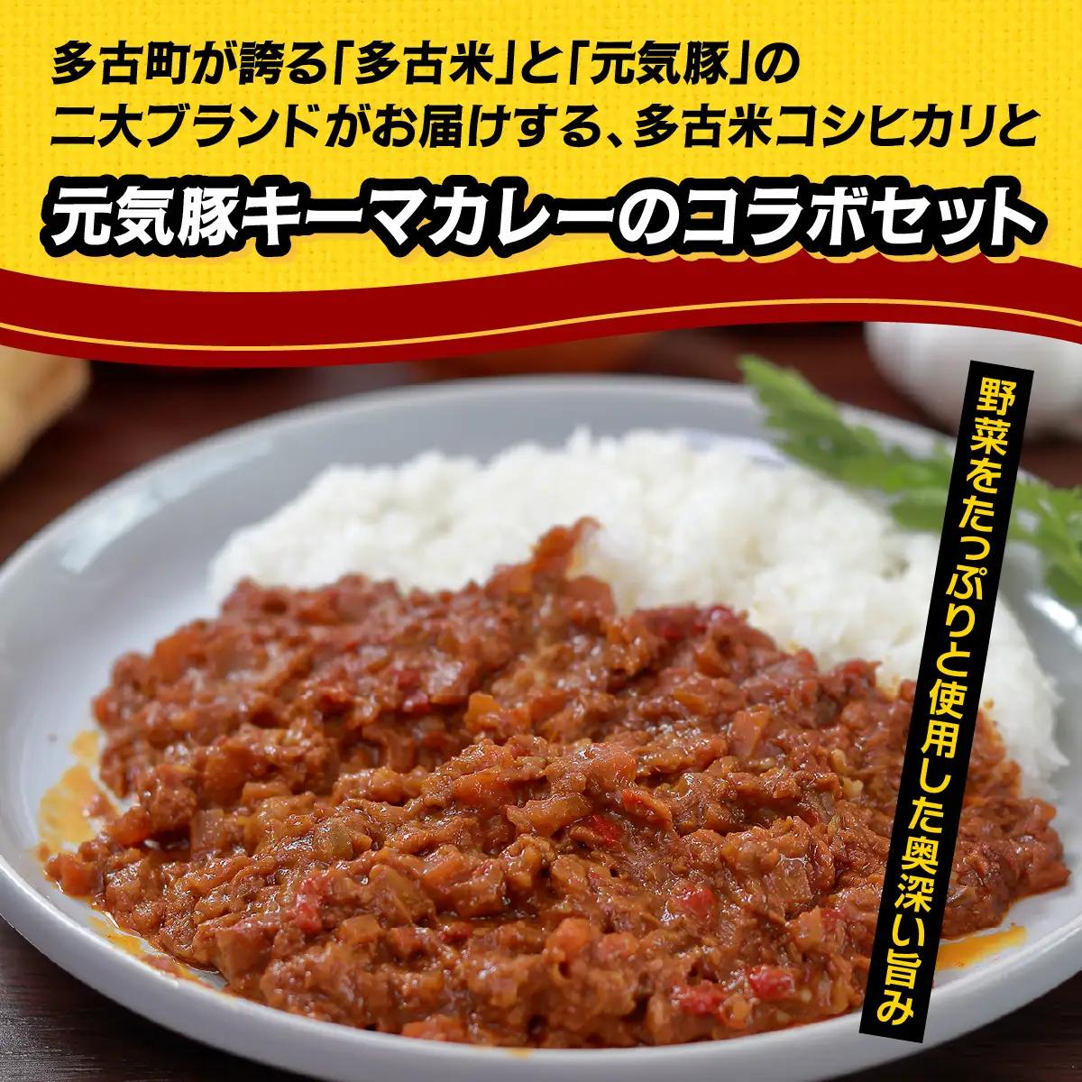 ご飯にはやっぱりカレー!「多古米コシヒカリ2kg」と「元気豚キーマカレー150g×6」セット_ 精米 米    コシヒカリ 米 こしひかり  惣菜・加工品 カレー  _【配送不可地域：離島・沖縄県】 