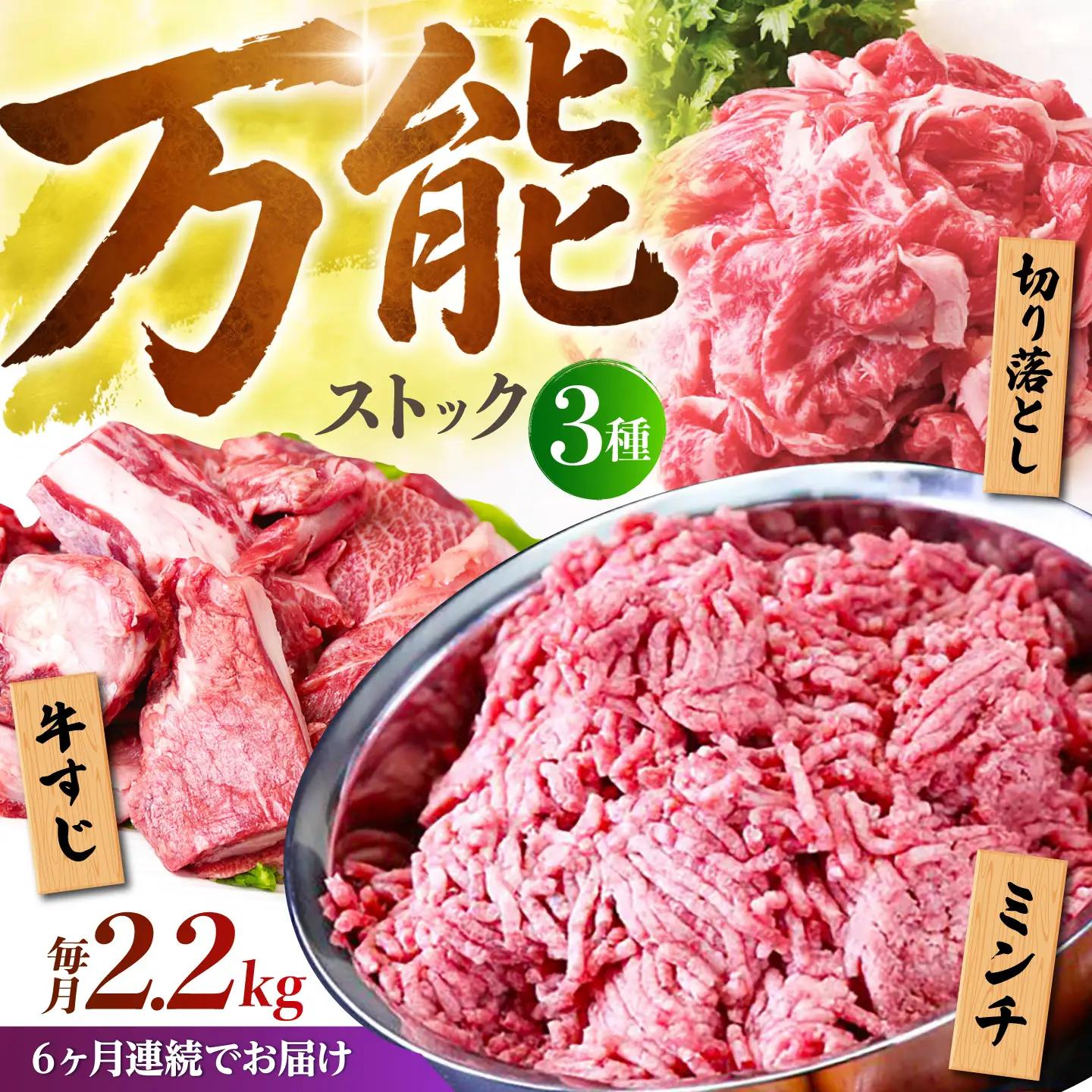 【全6回定期便】佐賀牛 A5 万能ストック3種セットB（切り落とし 1kg・ミンチ 600g・牛すじ 600g） HAD126 佐賀牛