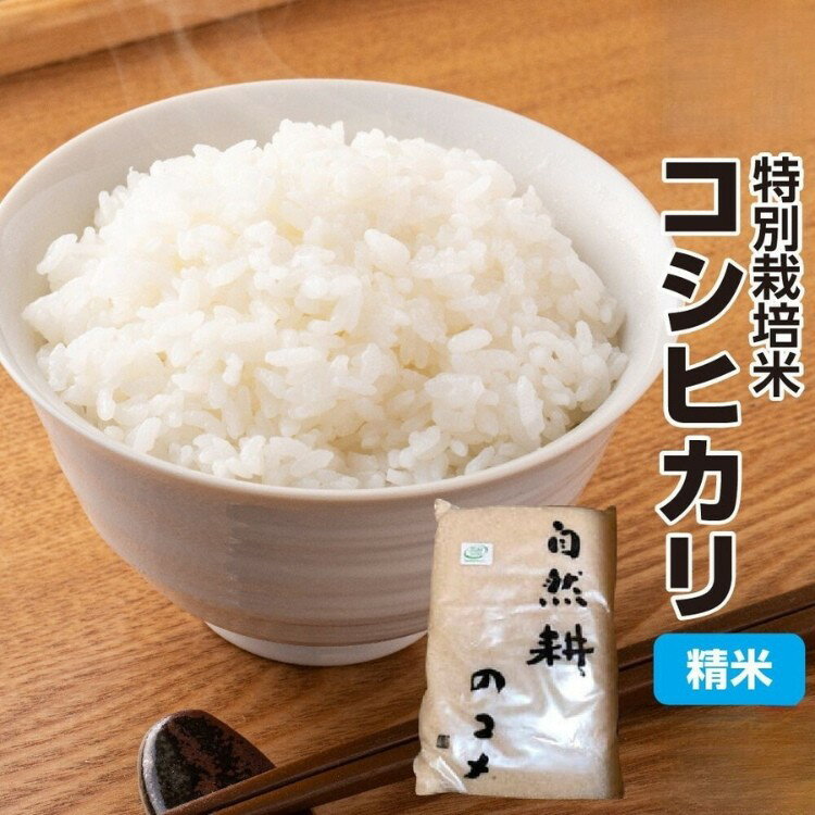 【ふるさと納税】令和7年度産 特別栽培米 コシヒカリ白米｜精米 お米 ブランド米 ライス 炭水化物 ご飯 主食 食卓 おにぎり お弁当 ミネラル米 こしひかり ごはん こめ コメ 産地直送 国産 茨城県産 常総市 運動会 アウトドア キャンプ