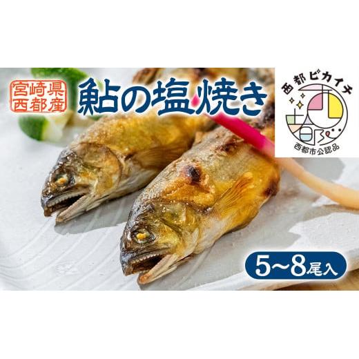 鮎の塩焼きギフト（5〜7尾入り）　宮崎県西都市産＜1.1-35＞
