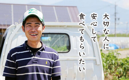 ［年6回定期便］ 農薬・化学肥料を使わずに栽培した野菜年6回定期便 OBUSE Meguru 野菜セット シーズンコース［おぶせファーマーズ］おまかせ 野菜 やさい 詰め合わせ 8～12種類 長野 信