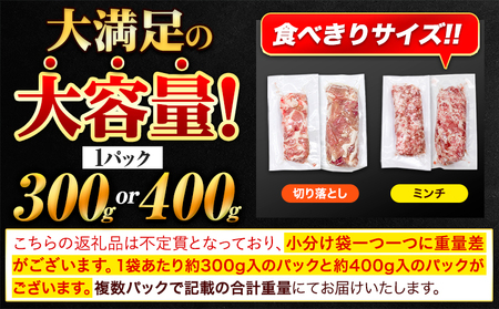 【3ヶ月定期便】 豚肉 うまかポーク 切り落とし&ミンチ ハーフセット 5.4kg 《申し込み翌月から発送》 