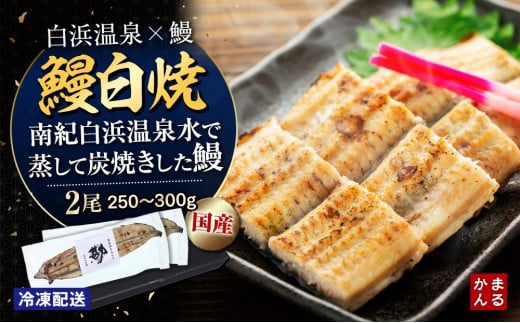 うなぎ白焼き2本セット（合計：250～300ｇ)