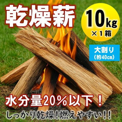 【ふるさと納税】乾燥薪　キャンプ用 10kg　水分量20%以下までしっかり乾燥　大割(約40cm)　広葉樹ミックス【1662926】