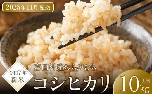 【予約受付】【令和７年米】【新米】長野県宮田村産コシヒカリ／玄米／10kg・20,000円／11月配送