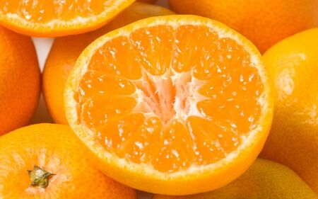 【訳あり】 森本農園の手選別 みかん 約2kg 和歌山県産 2S~2Lサイズ混合 【北海道・沖縄・離島配送不可】【2025年11月上旬～2026年2月中旬ごろに順次発送】【RN8】【BV90008-m