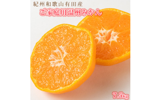 
            【ご家庭用訳アリ】紀州有田産温州みかん7.5kg【2025年11月下旬以降発送】【先行予約】【UT10】
          