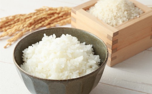 「STAR RICE」（精米 10kg）