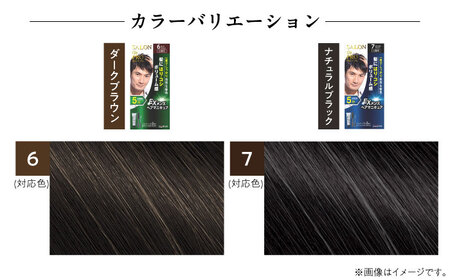 ダリヤ サロンドプロ EXメンズヘアマニキュア（白髪用） 3箱セット【ナチュラルブラック】 / 稲沢市 / 日興商事株式会社 [BMBK006-02]