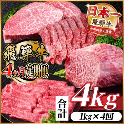 【毎月定期便】飛騨牛 赤身定期便 計4kg 焼肉 BBQ すき焼き しゃぶしゃぶ ブロック全4回【配送不可地域：離島】【4072655】