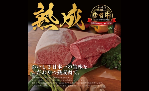 【人気鉄板焼き店厳選】熟成宮崎牛A4等級サーロインステーキセット 750ｇ　オリジナルソース付き（国産 牛肉 黒毛和牛 宮崎牛 焼肉 ステーキ 霜降りサーロイン 特製タレ付き）