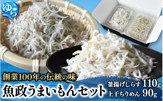魚政うまいもんセット（釜揚げしらす110g・上干ちりめん90g） /  しらす シラス 釜揚げしらす 釜揚げシラス ちりめん 上干ちりめん しらす丼 国産 海藻 魚 お魚 さかな 食品 和歌山県 由良町【uoms007】