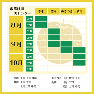 【2024年先行予約】真岡市産 新高 梨 5kg