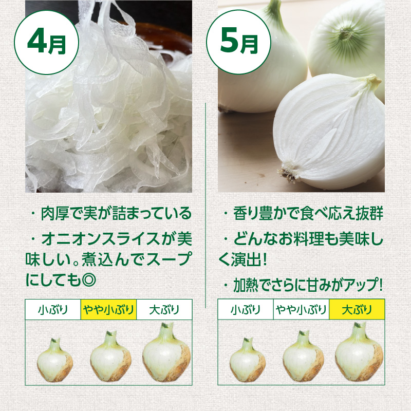 (2026年発送)新玉ねぎ 生がおいしい 神重農産のブランド玉ねぎ「旬玉」10kg ブランド玉ねぎ 玉ねぎ 国産 愛知県産 野菜 やさい 農家直送 畑直送 旬 期間限定 たまねぎ 先行予約 旬 特産 