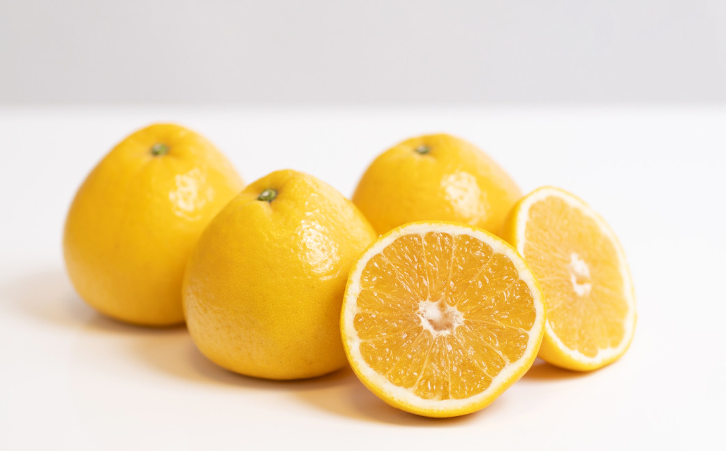 【訳あり】 河内晩柑 10kg 【えひめの町（超）推し！（愛南町）】（569-1）