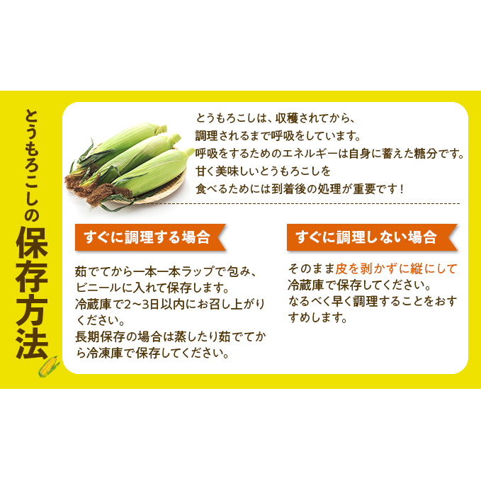 北海道 倶知安町 とうもろこし 味来 みらい 北海道 5kg 2Lサイズ 大きめ 夏野菜 とうきび 旬 新鮮 野菜 トウモロコシ ギフト 産地直送 産直 お取り寄せ 詰め合わせ 送料無料 13本 高糖