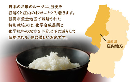 【令和7年産】【新米】特別栽培米 体に優しいお米・こしひかり10kg（5kg×2） 山形県庄内産　鶴岡米穀商業協同組合