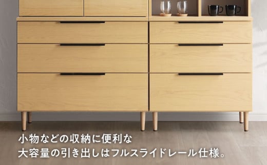 ローボード Salute サルテ 幅100cm DK ダーク ブラウン 家具 収納 書棚 本棚 完成品 【北海道・東北・沖縄・離島不可】CN020-DK