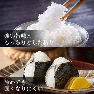 ふるさと納税 八頭町 因幡の白兎米 コシヒカリ 令和7年産 精米済 10kg(5kg×2袋) |  | 03