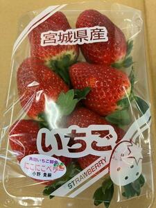 【JAみやぎ仙南】宮城県角田市産いちご　にこにこベリー・とちおとめ詰合せ　合計約500g（250g×2パック） イチゴ 苺 とちおとめ にこにこベリー 