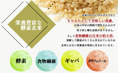 酵素玄米ごはん(長岡式)8個