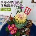 【ふるさと納税】季節の寄せ植え体験講座チケット 1名様分 体験 チケット 寄せ植え 植物 菊池市 熊本県 送料無料