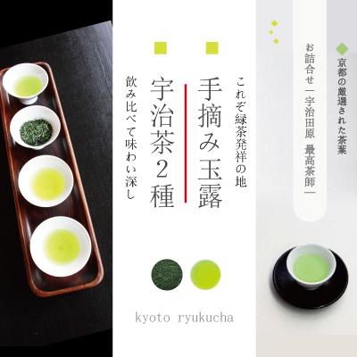ふるさと納税 宇治田原町 宇治玉露と宇治茶2種の お詰合せ