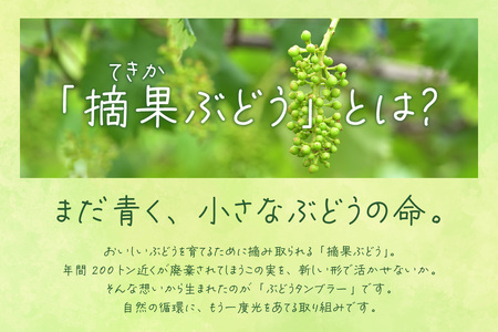 摘果ぶどうのタンブラー（ぶどう濃度1％） タンブラー コップ グラス プラコップ プラカップ エコ SDGs サステナブル エシカル リサイクル 摘果ぶどう ブドウ 東浦 MEISEI