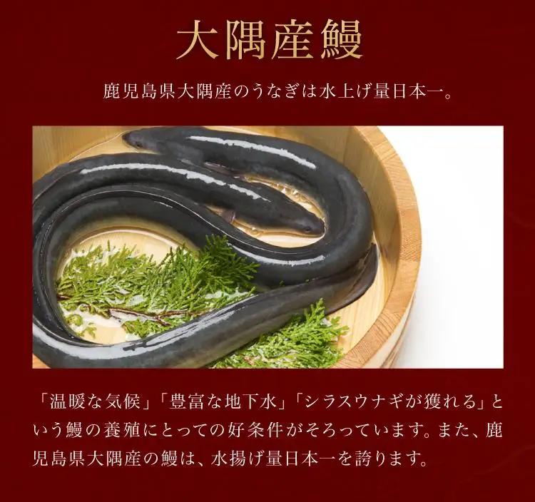 鹿児島県大隅産 千歳鰻の 白焼鰻　6尾｜うなぎ うなぎ