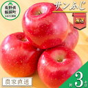 【ふるさと納税】 りんご サンふじ 極選 3kg マルハ農園 沖縄県への配送不可 令和6年度収穫分 エコファーマー認定 長野県 飯綱町 〔 信州 果物 フルーツ リンゴ 林檎 長野 14000円 予約 農家直送 〕発送時期：2024年12月上旬～2024年12月下旬