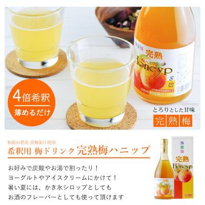 ふるさと納税 古座川町 【古座川町】希釈用梅ドリンク 梅ハニップ 完熟梅ハニップ 各3本セット |  | 02