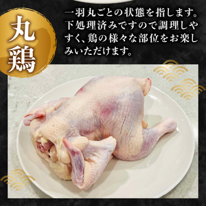 やまがた地鶏 丸鶏 060-008