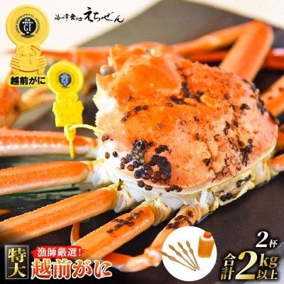 ≪浜茹で≫ 越前がに 特大 2杯 かに酢 食べ方QRコード付き【2月より発送】【配送不可地域：離島・北海道・沖縄・東北・関東・中国・四国・九州】【1514973】